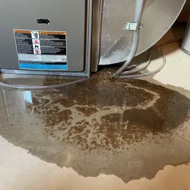 Appliance Leak Cleanup in Brighton, IL